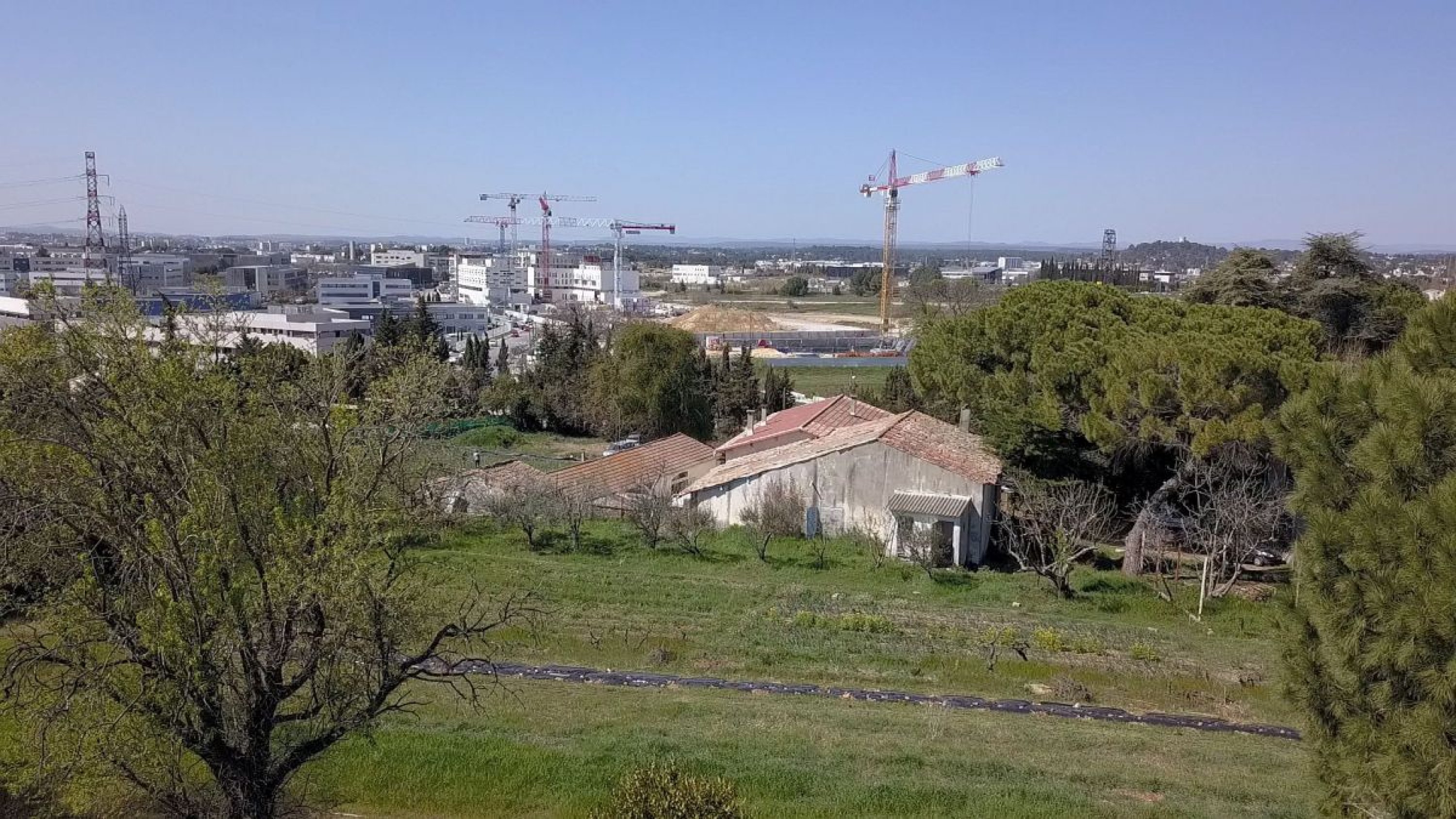 ferme_condamine_et_millenaire4275840.jpg