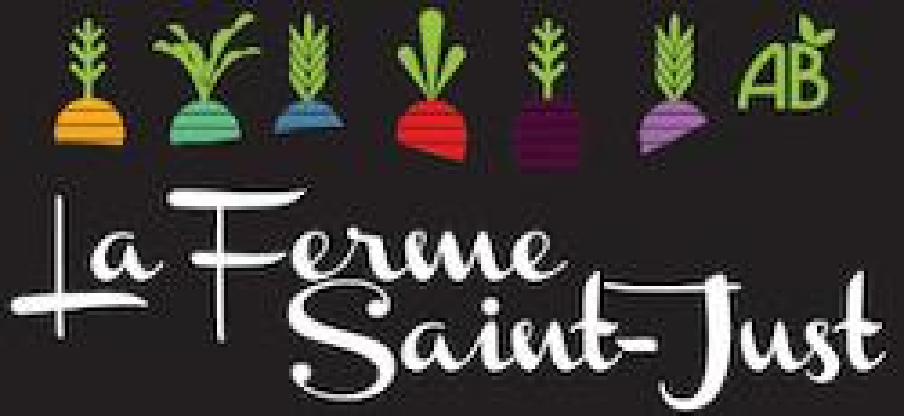 logostjustnoir01.jpg