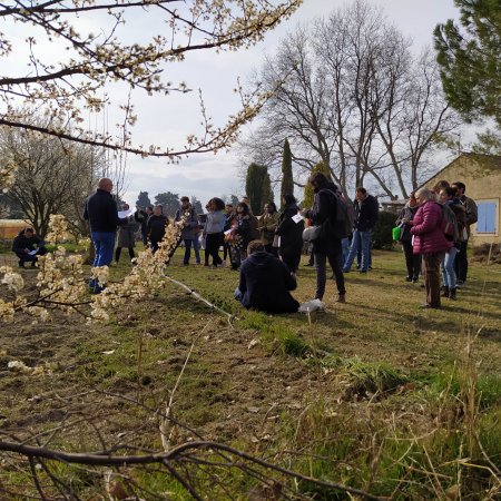 Rencontres de l’Axe 2 « Modèle agricole et approvisionnement »